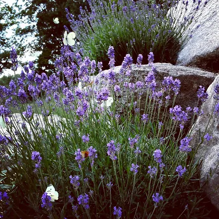 Uroczysko Starych Sztolni 3* Szklarska Poreba