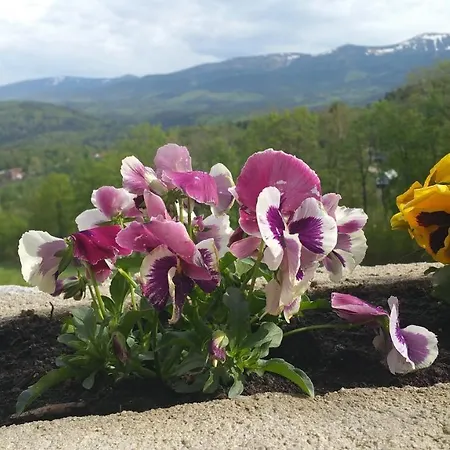 Uroczysko Starych Sztolni לינה וארוחת בוקר