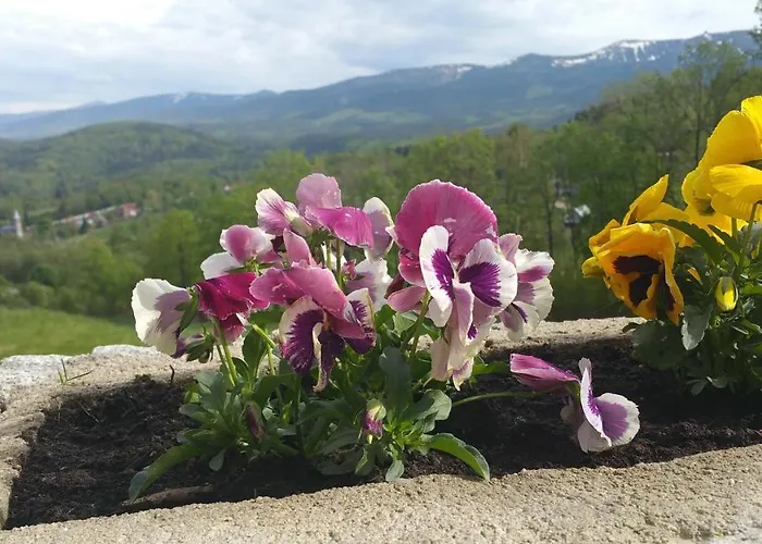 Uroczysko Starych Sztolni Couette-café