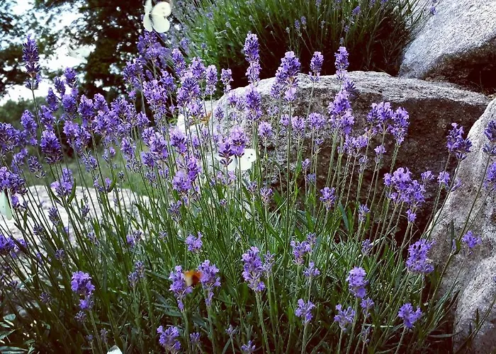 Uroczysko Starych Sztolni 3* Szklarska Poreba